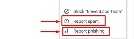 Report and Spam phising mail