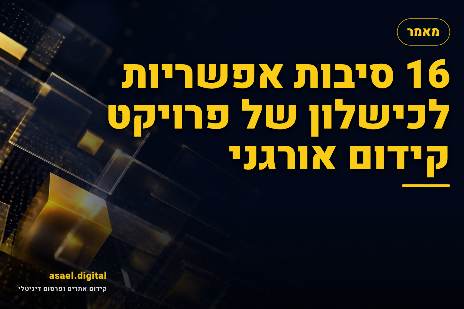 16 סיבות אפשריות לכישלון של פרויקט קידום אורגני