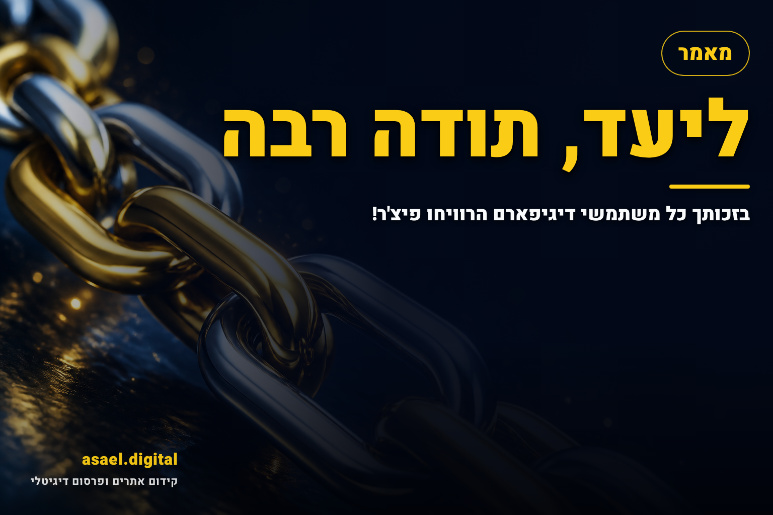 ליעד, תודה רבה – בזכותך כל משתמשי דיגיפארם הרוויחו פיצ'ר!