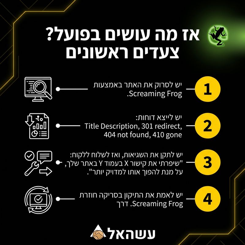 הצעדים הראשונים לסרוק את האתר שלך באמצעות סקרימינג פרוג - עשהאל דיגיטל