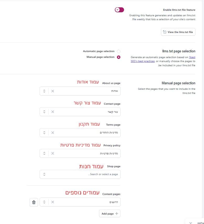 הגדרות ידניות LLMS.TXT