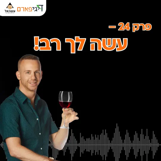 פרק 24 – עשה לך רב!