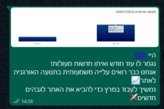שיא מאי 29