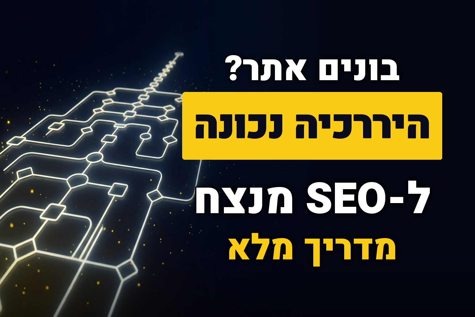 בניית היררכיה – המדריך המלא
